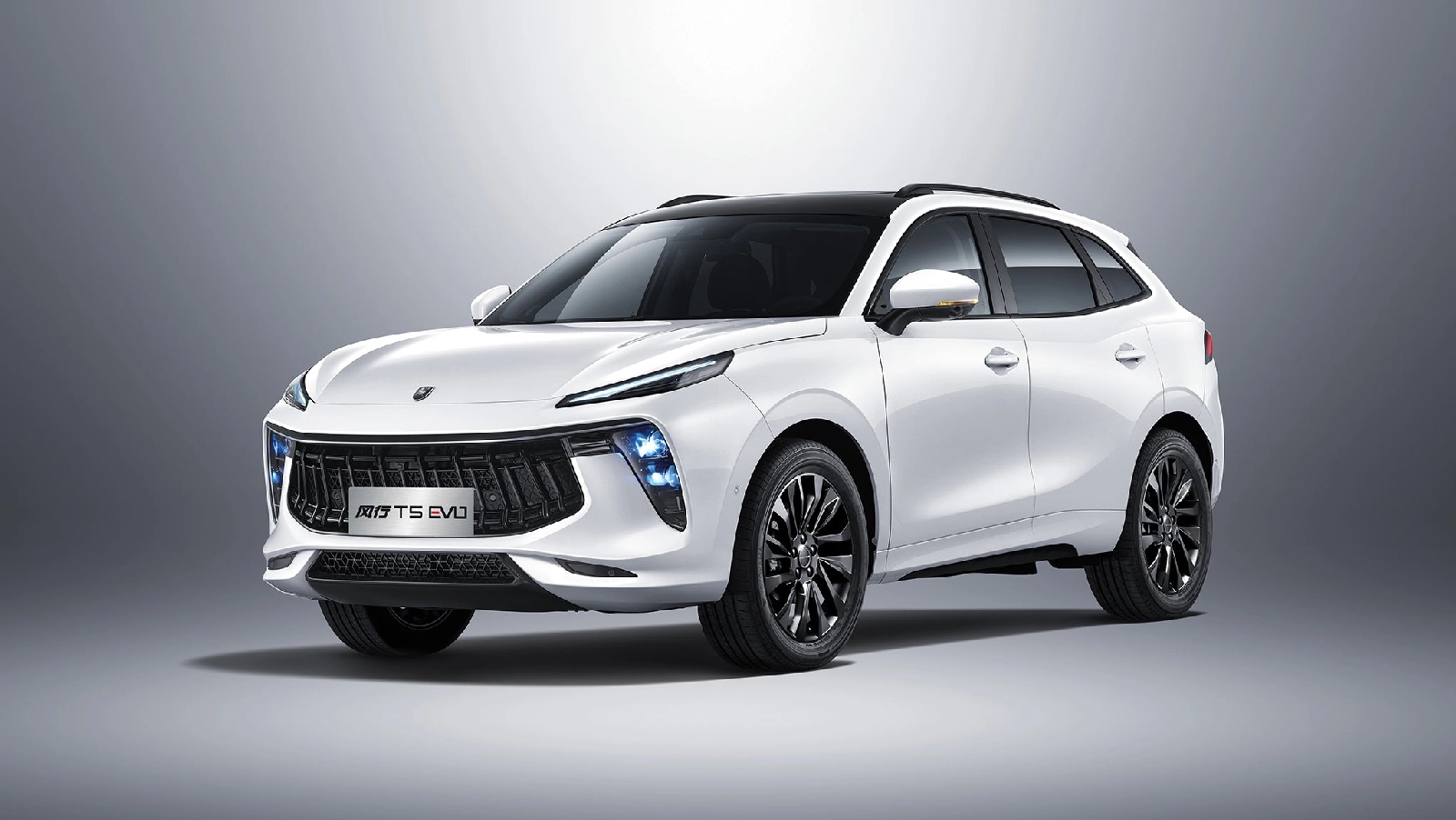 Каско на  T5 EVO