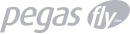 Pegas Fly